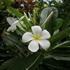 www.tiktot.commaythu