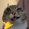 user6dkhd4743k