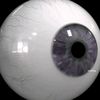 my_eye..one