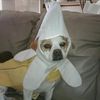 authorrlg