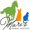 mares_animal_serices
