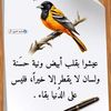 yasser3282