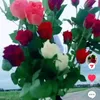 fleur34haida