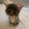 m4rcela.a