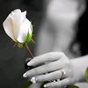 user2670727