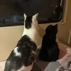 holly.natalia.77