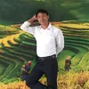 Hoàng Tiệp