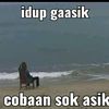fredlovetaroawr