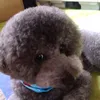 user0stmev6fix