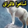 hakimhakim92