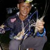 indra_kansas21