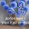 elena88332