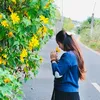 voi_u