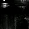 mahfoud__44