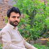 muhammadibrar677