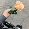 faroza_5