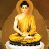 huongtran8293