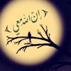 user454539189