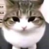 xendqq