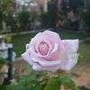 userfuzhzty1eb