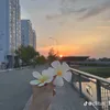nguyenngocanh_5677