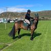 elsi_the_stubborn_mare