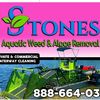 stonesaquaticweed