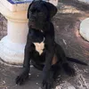 nurietapm