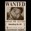 monkey.dni