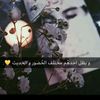 user44445055