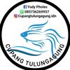 jual_aneka_ikan_hias