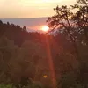 laubf74
