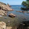 sylvie_190472