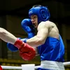 Danila Sergeev🥊