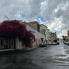 alwazeerh