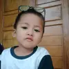 alips255