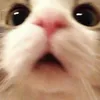 vncncncmccncxnxnxxn