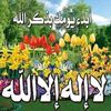 bassamalyoussef1