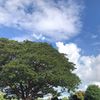 pakin_1240