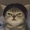 lazypoko