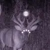 34342oa69341234
