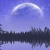 moonlight98687
