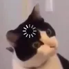 banhtalongpipi