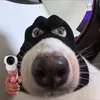 lionkl.com