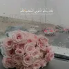 halalasalah