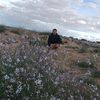 khaled.ard