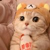user743212345
