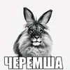 andrey029388