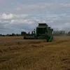 lejeunefrancois