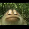 maaarrrkkkooo
